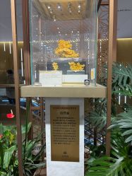 -菜百首饰店(总店)