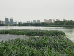 -尚贤河湿地