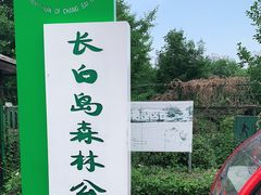 -长白岛森林公园