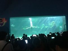 -常州海昌海洋探索馆