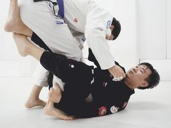 -菠萝格斗巴西柔术训练馆