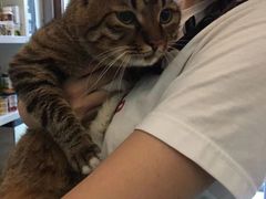 -安安宠医·安宠宠物医院