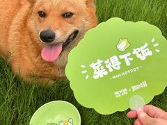-楠火锅(昆山金鹰店)