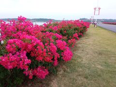 -露天矿生态公园