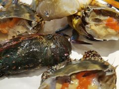 -蓝钻·国际美食海鲜自助百汇(西直门店)