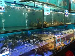 -南海渔家•海鲜•正宗海南菜(海棠湾店)