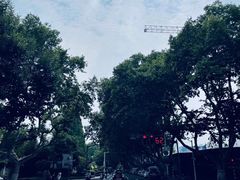 -刘长兴(逸仙桥店)