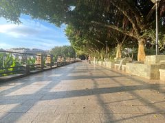 -黄埔古港