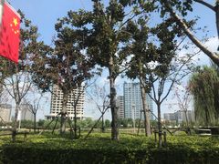 -广富林郊野公园