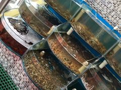 水产区-仙螺岛海鲜自助餐厅(总店)
