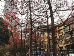 -烈士陵园(地铁站)