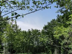 -桤木河湿地公园