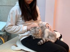 -猫咪派对(江南西店)