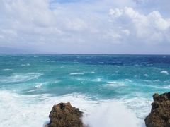 -龙坑生态保护区