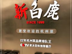 -新白鹿餐厅(虹桥南丰城店)