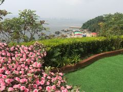 -渔公码头海货全海鲜自助(海滨旅游路店)