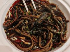 鳝丝-魏铭鱼头捞饭(晋阳路店)