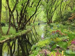 -上海共青森林公园