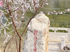 -桃花堤公园