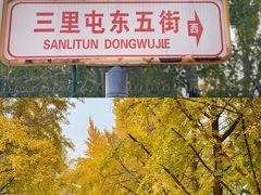 -三里屯东五街银杏大道