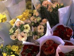 -三圣花乡旅游区