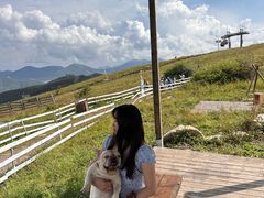 -密苑云顶乐园