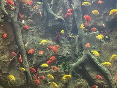 -杭州开元森泊度假乐园