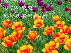 -徐家汇公园