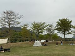 -风云岭森林公园
