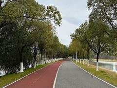 -艾溪湖湿地公园