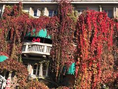 -成桂西餐厅·42年的味道(五大道疙瘩楼店)