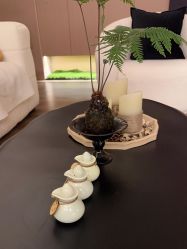 -栖SPA·ONDA ·海菲秀·皑皑科技美肤中心