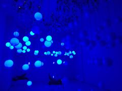 -天空之城蹦床攀岩运动馆·团建拓展·亲子游乐·生日派对(合肥店)