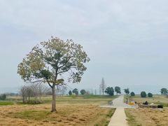 -良渚古城遗址公园