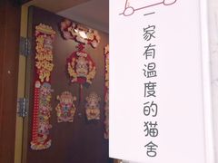 -猫十亿·布偶金渐层·曼基康矮脚猫舍(青年路店)