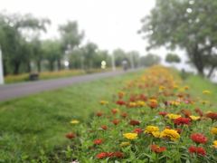 -艾溪湖湿地公园