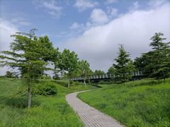 -亚沙水生植物园