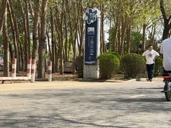 -丁香湖公园