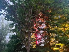 -羊亭河湿地公园