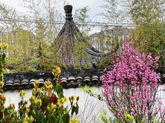 -南汇桃花村