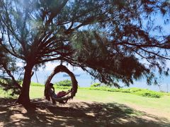 -漳州滨海火山岛自然生态风景区