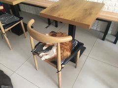 -平行世界·猫咖(首经贸店)