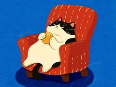 -必胜客(安盛金马店)