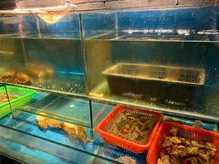 水产区-吉友粥底火锅(方斜路店)