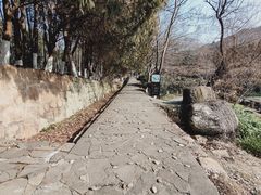 -白马涧龙池景区