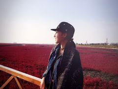 -红海滩国家风景廊道