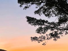-艾米稻香小镇