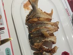 大昌鱼-Aqua Oasis 水天堂(石路天虹店)