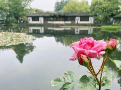 -郭庄景区