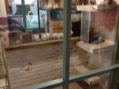 -猫咪博物馆(顶澳仔猫街店)